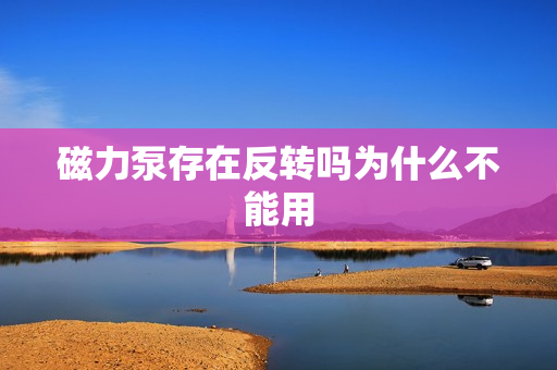 磁力泵存在反轉(zhuǎn)嗎為什么不能用 磁力泵存在反轉(zhuǎn)嗎為什么不能用