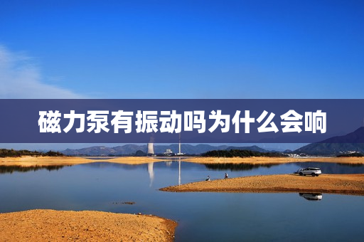 磁力泵有振動(dòng)嗎為什么會(huì)響