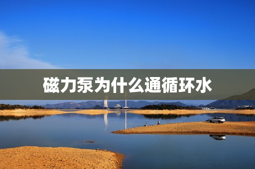 磁力泵為什么通循環(huán)水