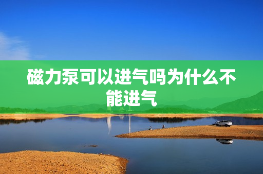 磁力泵可以進(jìn)氣嗎為什么不能進(jìn)氣