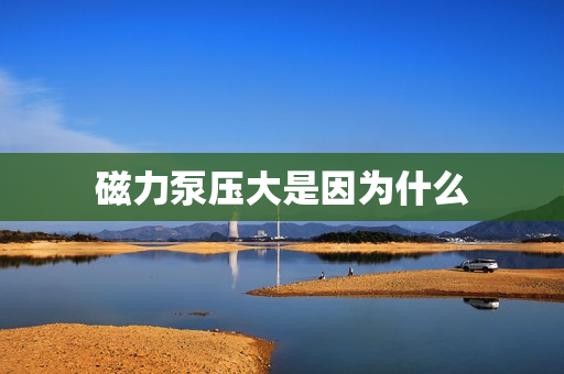 磁力泵壓大是因?yàn)槭裁? title=