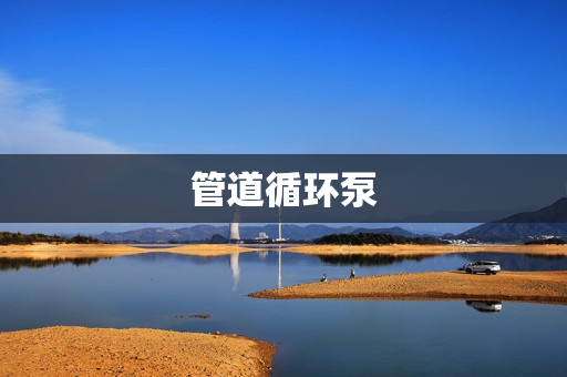 管道循環(huán)泵