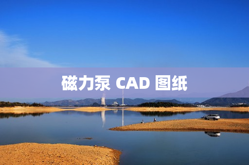 磁力泵 CAD 圖紙