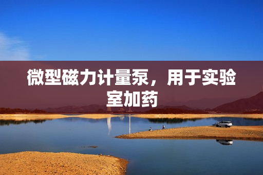 微型磁力計(jì)量泵，用于實(shí)驗(yàn)室加藥