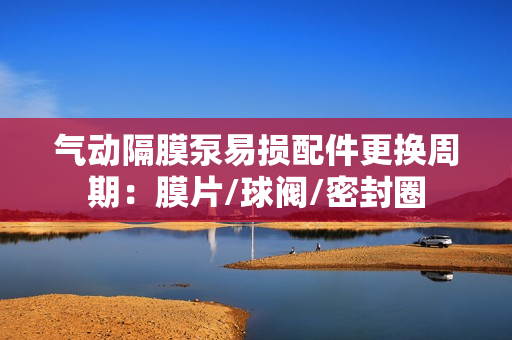 氣動隔膜泵易損配件更換周期：膜片/球閥/密封圈