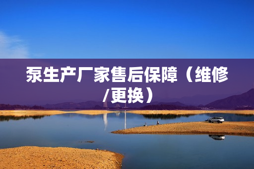 泵生產(chǎn)廠家售后保障（維修/更換）