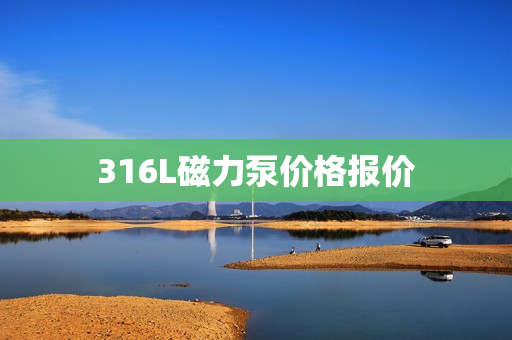 316L磁力泵價格報價