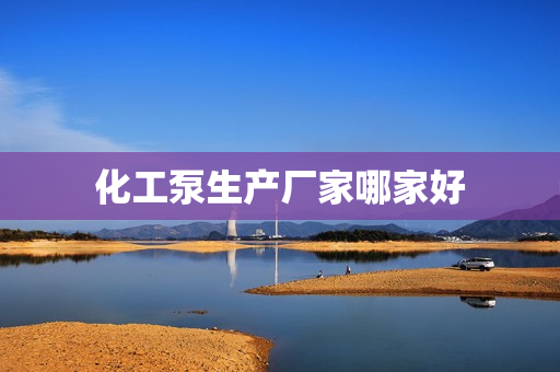 化工泵生產(chǎn)廠家哪家好