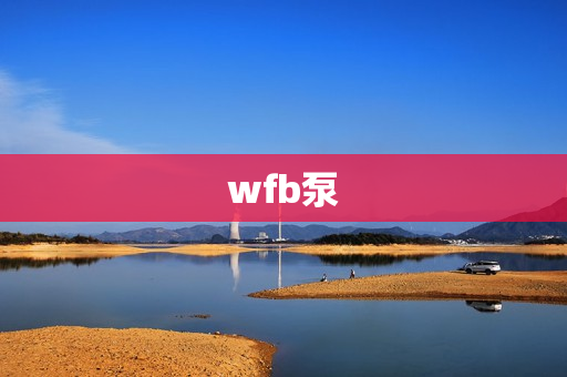 wfb泵