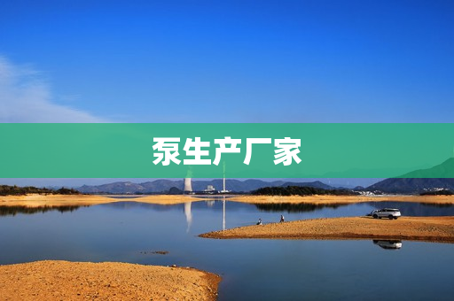 泵生產(chǎn)廠家