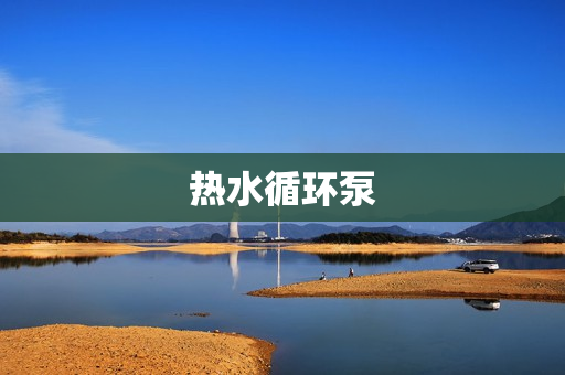 熱水循環(huán)泵