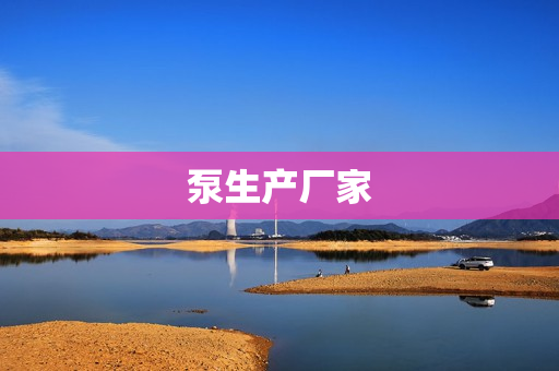 泵生產(chǎn)廠家
