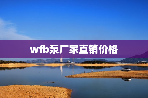 wfb泵廠家直銷價格 wfb泵廠家直銷價格