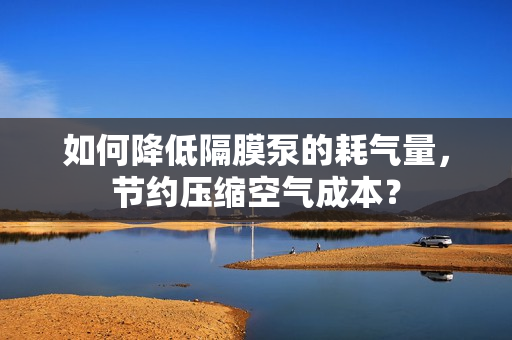 如何降低隔膜泵的耗氣量，節(jié)約壓縮空氣成本？