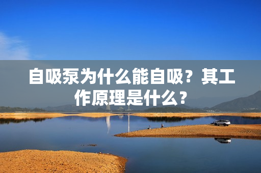自吸泵為什么能自吸？其工作原理是什么？