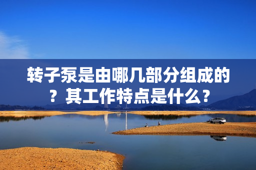 轉(zhuǎn)子泵是由哪幾部分組成的？其工作特點(diǎn)是什么？
