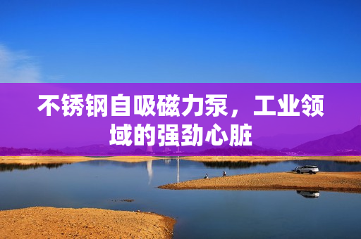 不銹鋼自吸磁力泵，工業(yè)領(lǐng)域的強(qiáng)勁心臟