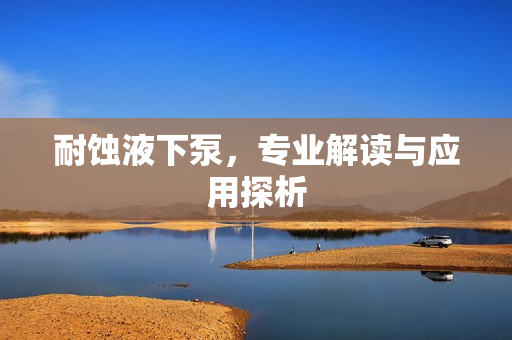 耐蝕液下泵，專業(yè)解讀與應用探析