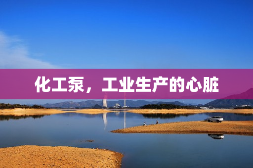 化工泵，工業(yè)生產(chǎn)的心臟