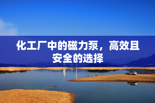 化工廠中的磁力泵，高效且安全的選擇
