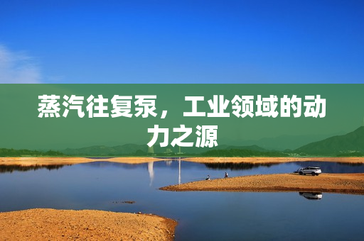 蒸汽往復(fù)泵，工業(yè)領(lǐng)域的動力之源