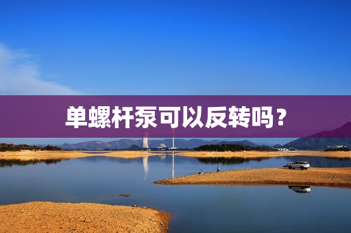 單螺桿泵可以反轉(zhuǎn)嗎？