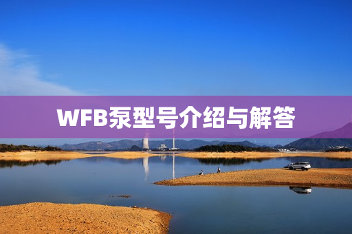 WFB泵型號(hào)介紹與解答
