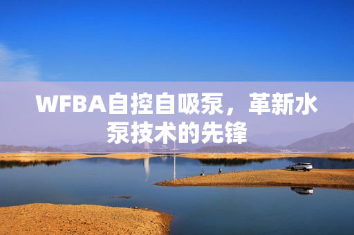 WFBA自控自吸泵，革新水泵技術(shù)的先鋒