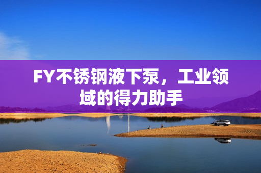 FY不銹鋼液下泵，工業(yè)領域的得力助手